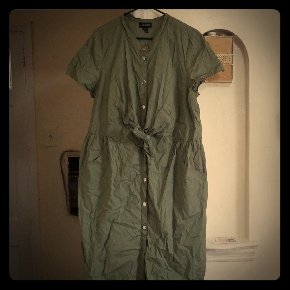 Great  stretch Utility Dress